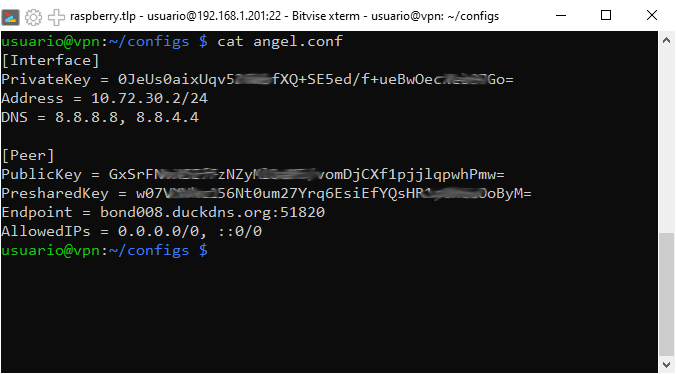 WireGuard